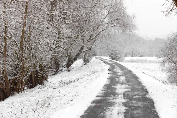 Donmuş ağaçlı kış yolu — Stok fotoğraf