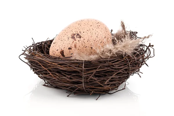 Œuf de Pâques dans le nid d'oiseaux isolé sur fond blanc — Photo