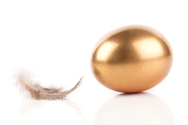 altın yumurta ve beyaz arka plan üzerinde izole tüy