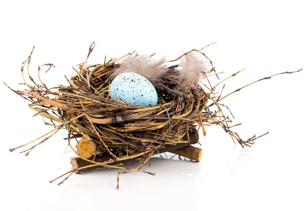 Uovo di Pasqua in nido di uccelli isolato su sfondo bianco — Foto Stock