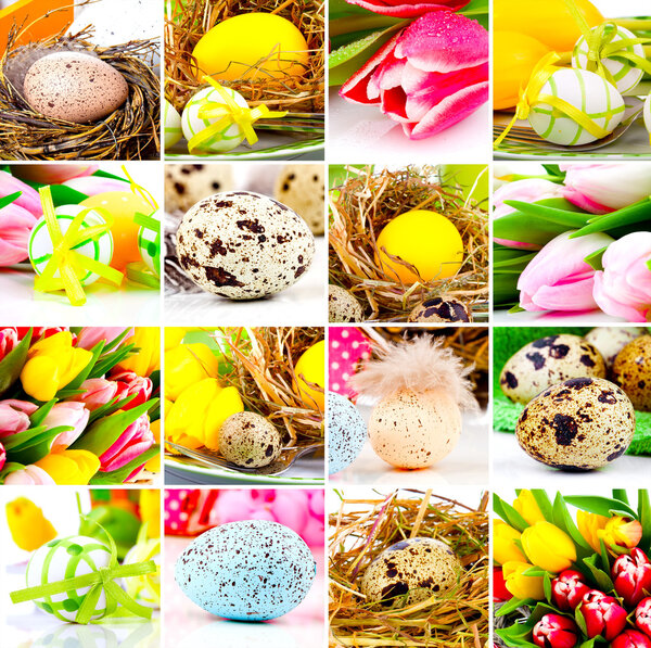Easter collage. easter eggs and spring flowers
