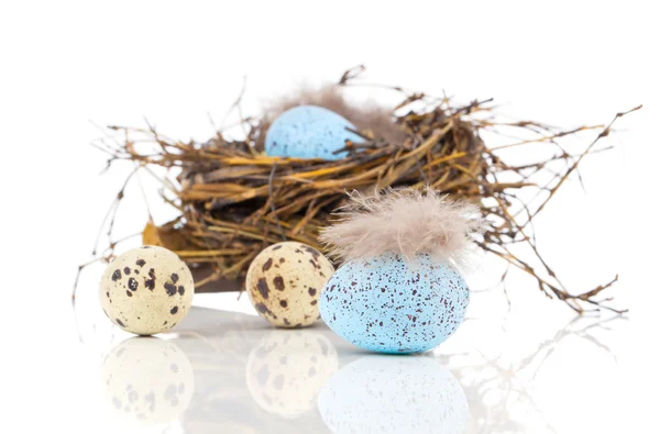 Huevos de Pascua en nido de aves aislados sobre fondo blanco —  Fotos de Stock