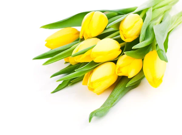 Lente bloemboeket gele tulpen geïsoleerd op witte achtergrond — Stockfoto