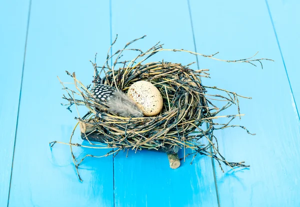 Ovo no ninho no fundo de madeira azul — Fotografia de Stock