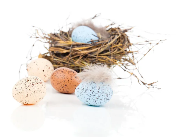 Ovos de Páscoa em ninho de pássaro isolado no fundo branco — Fotografia de Stock