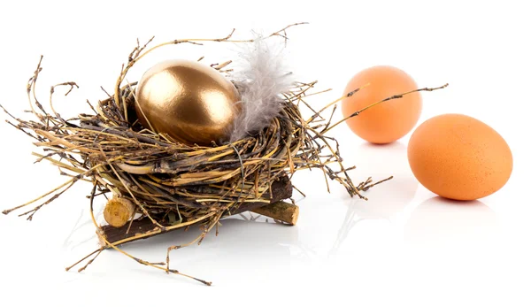 Goldenes Ei im Nest auf weißem Hintergrund — Stockfoto