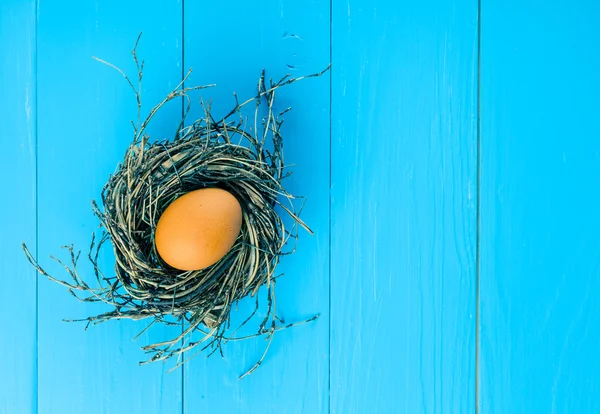 Ei im Nest auf blauem Holzgrund — Stockfoto