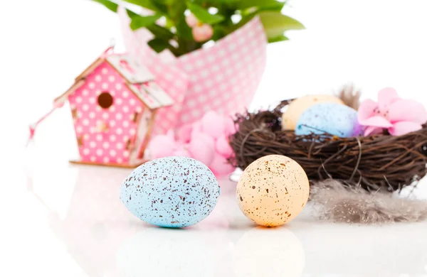 Påsk dekoration med färg ägg och fågelholk — Stockfoto