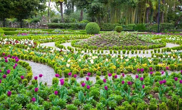 Flower season in the park — Stock Photo, Image