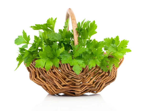 Bundle of fresh parsley in a wicker basket, on a white backgroun — Stock Photo, Image