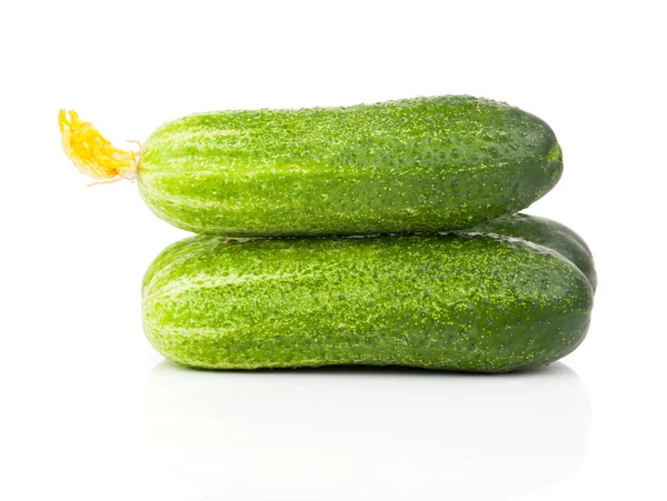 Komkommer met bloeiwijze, geïsoleerd op witte achtergrond — Stockfoto