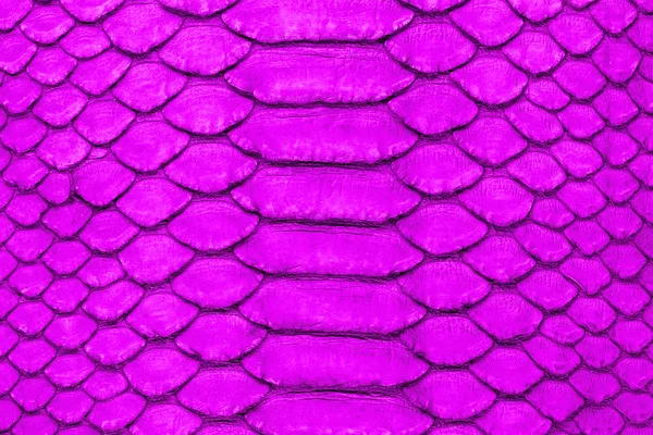 Yılan derisi arkaplanı