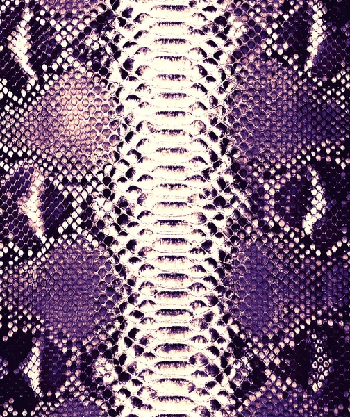 Violet  snake skin background — Stock Photo, Image