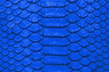 Yılan derisi arkaplanı