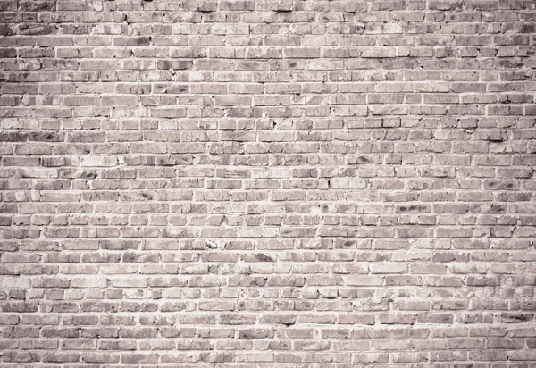 Grunge brick wall background — Stock Photo, Image