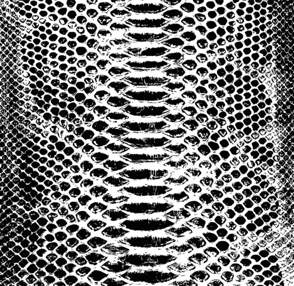 Fond de peau de serpent vecteur. Texture noir et blanc — Image vectorielle