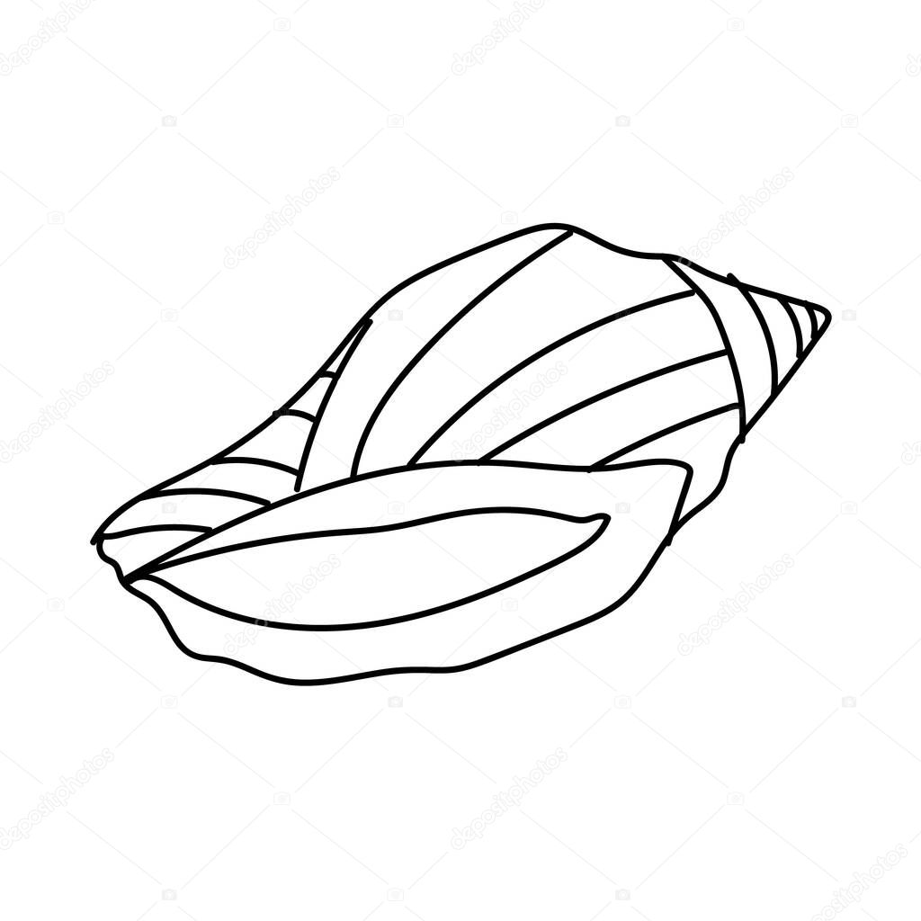 Seashell vector illustration isolated on white background