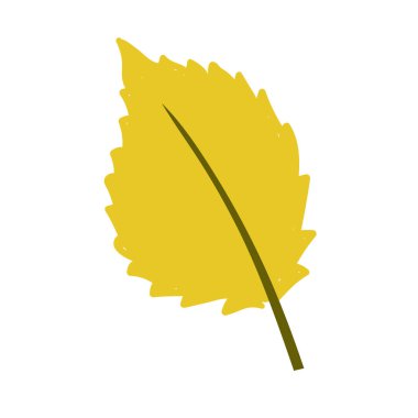 Beyaz arka planda sarı huş yaprağı izole edilmiş. Vektör