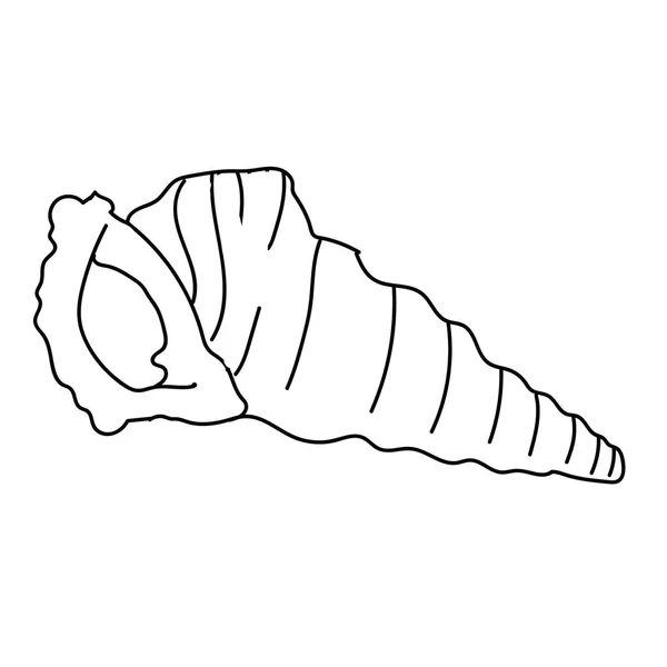 Εικόνα Διάνυσμα Seashell Απομονωμένη Λευκό — Διανυσματικό Αρχείο
