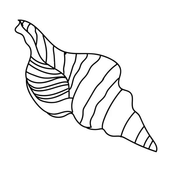 Seashell Vektor Illustration Isoliert Auf Weiß — Stockvektor