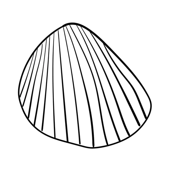 Seashell Vektor Illustration Isoliert Auf Weiß — Stockvektor