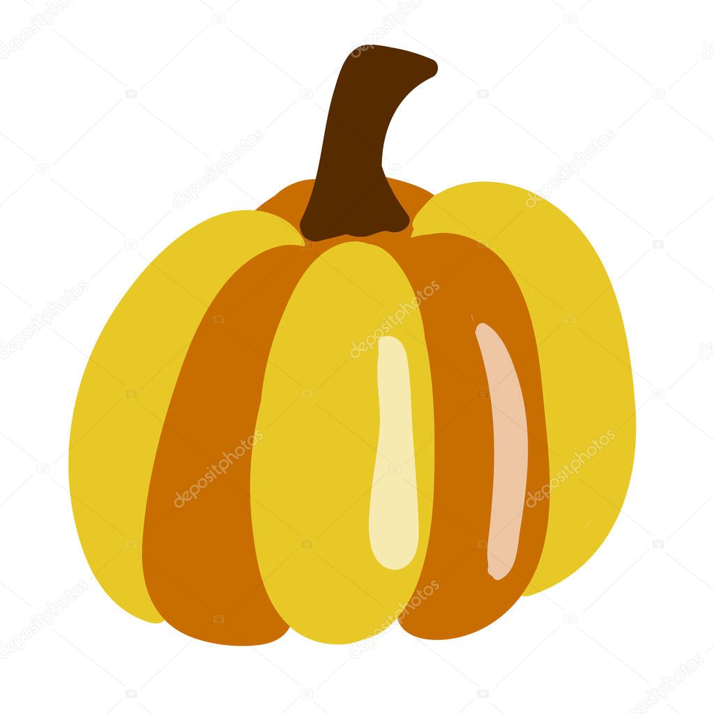 Pumpkin isolated on white background. Vector