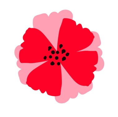 beyaz arkaplanda izole kırmızı çiçek