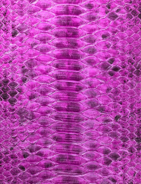 Fondo de piel de serpiente de color rosa. Textura de reptil — Foto de Stock