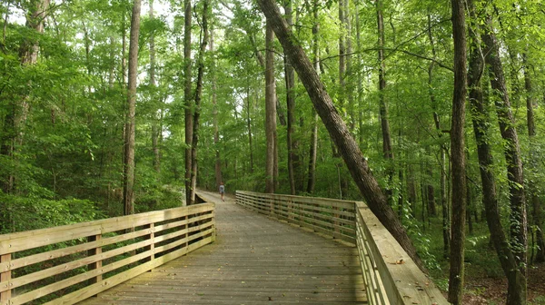 Hiker on Wooden Trail — Stock Photo, Image