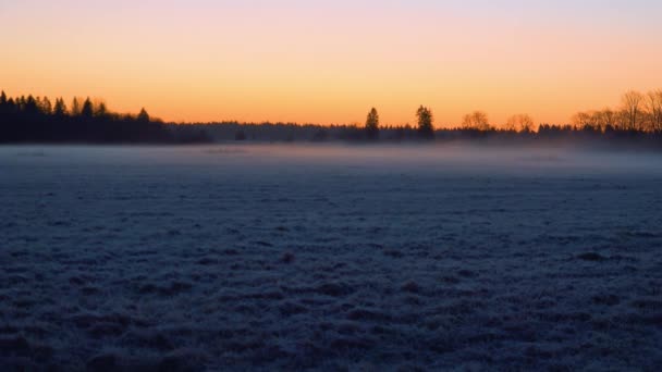 Sole Dorato Sorge Sul Campo Innevato Dipingendo Freddo Paesaggio Invernale — Video Stock