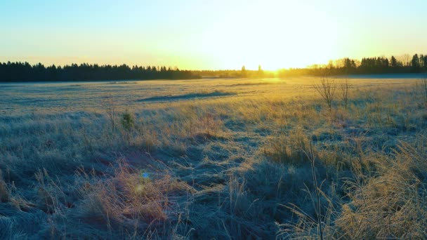 Den Gyllene Solen Går Upp Över Det Snötäckta Fältet Och — Stockvideo