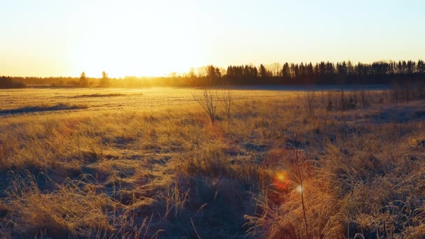 Die Goldene Sonne Geht Über Dem Schneebedeckten Feld Auf Und — Stockvideo