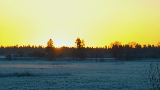 Złote Słońce Wschodzi Nad Pokrytym Śniegiem Polem Malując Zimowy Krajobraz — Wideo stockowe