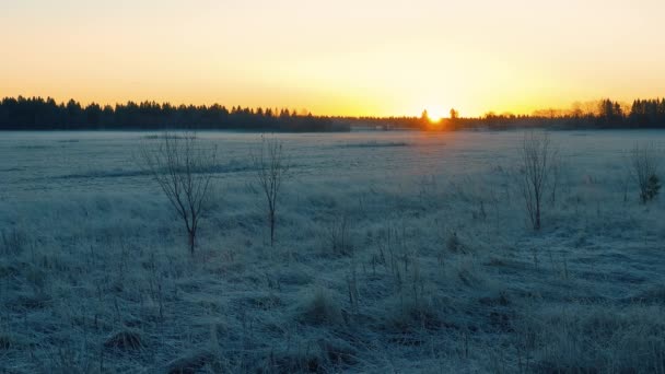 Złote Słońce Wschodzi Nad Pokrytym Śniegiem Polem Malując Zimowy Krajobraz — Wideo stockowe