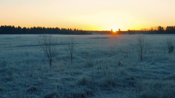 Sol Dorado Levanta Sobre Campo Cubierto Nieve Pintando Frío Paisaje — Vídeo de stock