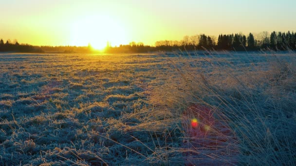 황금빛 태양이 눈덮인 떠오르는 풍경을 그리며 — 비디오