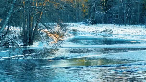 Winter Sky Sprinkles Light Snowball Cold Water Winter River — Stock Video