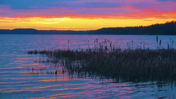 Primi Raggi Del Sole Sveglio Illuminano Fredde Acque Del Lago — Video Stock