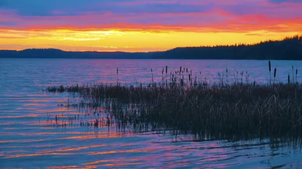夕阳西下的第一缕阳光照亮了冬日湖水的寒冷 — 图库视频影像