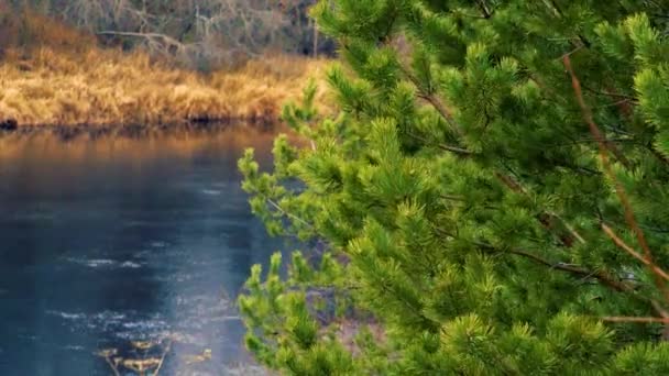 Ciel Hiver Saupoudre Une Boule Neige Légère Sur Eau Froide — Video