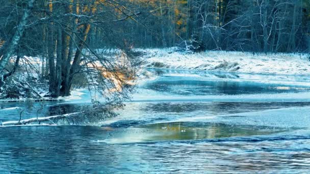 Winter Sky Sprinkles Light Snowball Cold Water Winter River — Stock Video