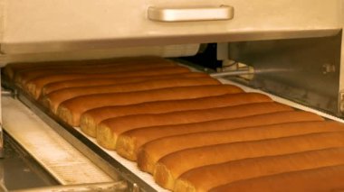Ekmek fabrikasında buğday unundan vanilyalı ekmek kırıntıları üretiliyor..