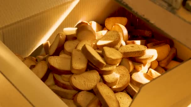 パン工場における小麦粉からのバニラパンくずの生産 — ストック動画