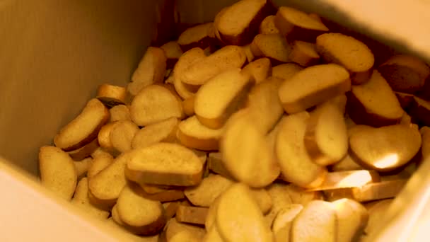Produkcja Okruchów Chleba Waniliowego Mąki Pszennej Fabryce Chleba — Wideo stockowe