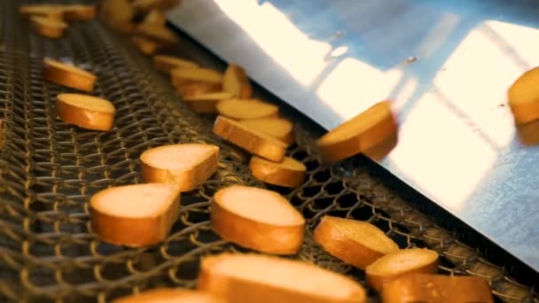 Výroba Drobečků Vanilkového Chleba Pšeničné Mouky Pekárně — Stock video