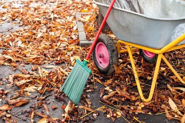 Autumn yard keeper tools. Tools for cleaning of the yard from leaves in the fall.