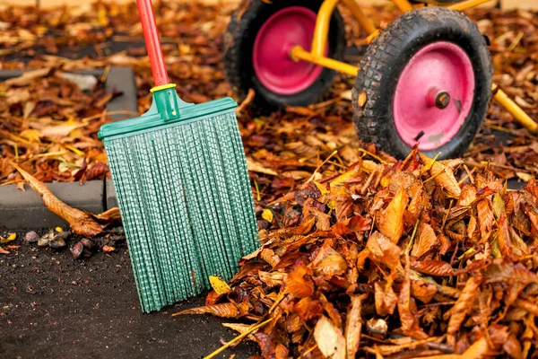 Autumn yard keeper tools. Tools for cleaning of the yard from leaves in the fall.