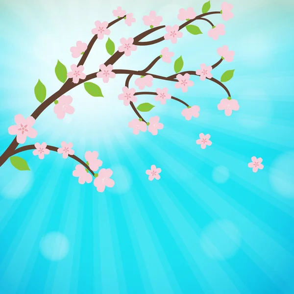 Cseresznyevirág, sakura ág virágokkal. — Stock Vector