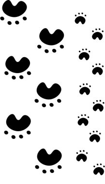 Tracks of animals, large and small, going in opposite directions. Black animal tracks on a white background. Pattern. 