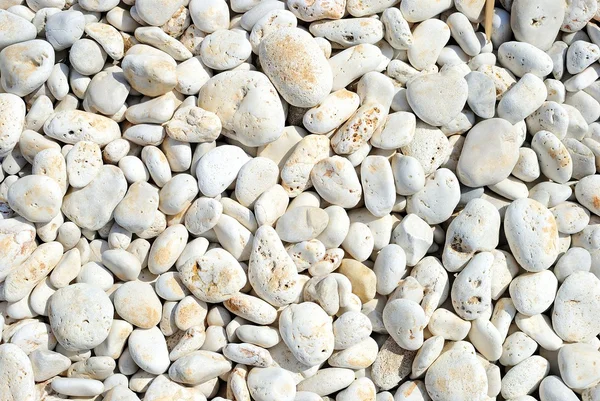 Çakıl Plajı'nda. Seaside